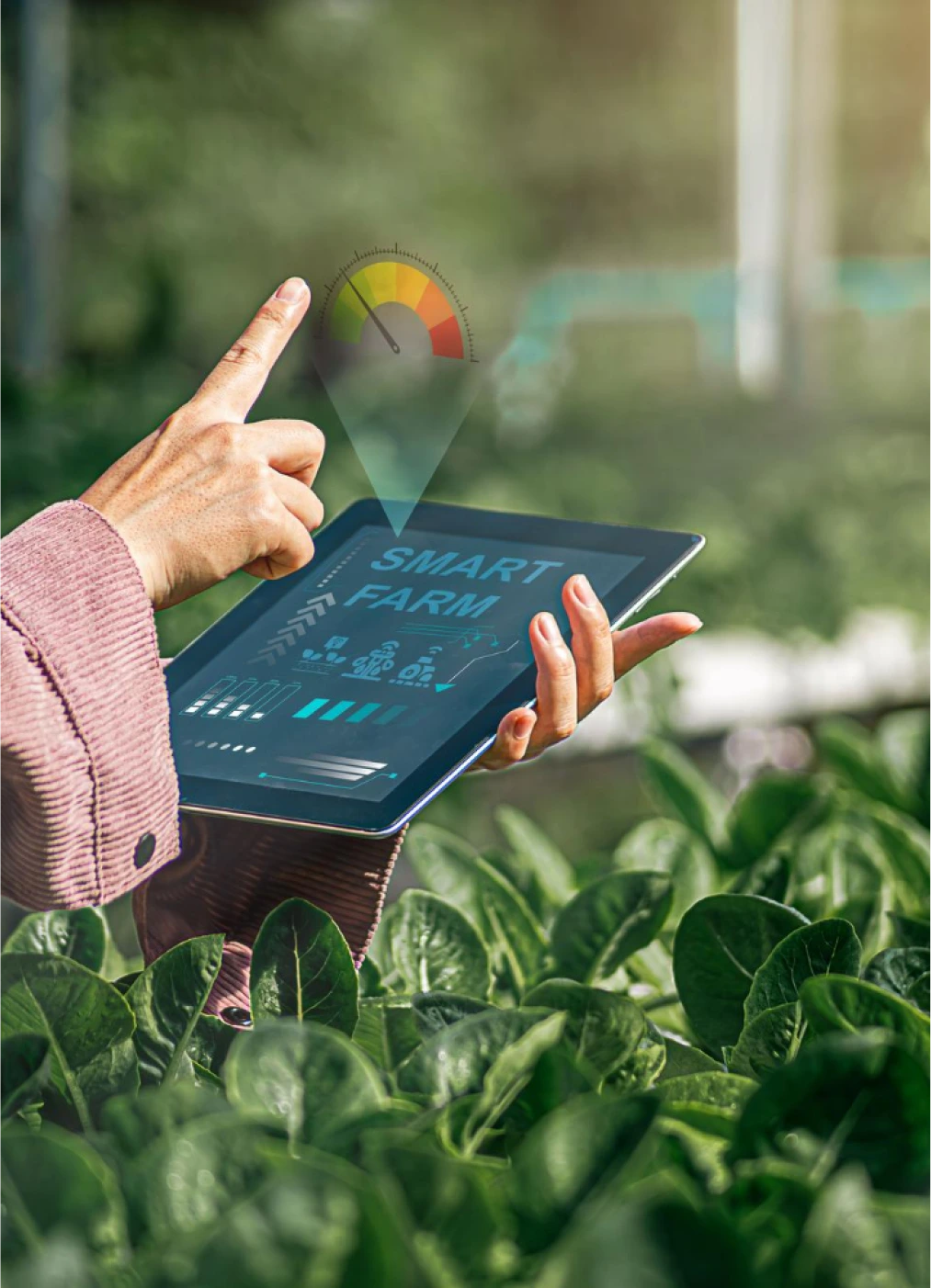 property development