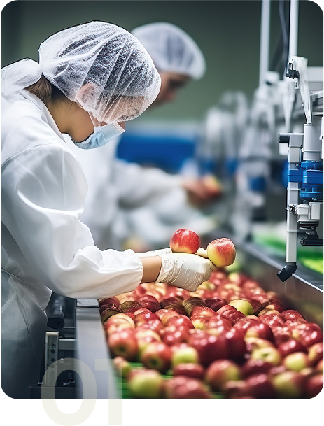 agritech & Foodtech Manufacturing